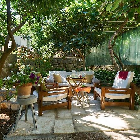 Aspidistra Shadow Leilighet Dubrovnik Eksteriør bilde
