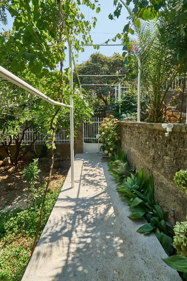 Aspidistra Shadow Leilighet Dubrovnik Eksteriør bilde