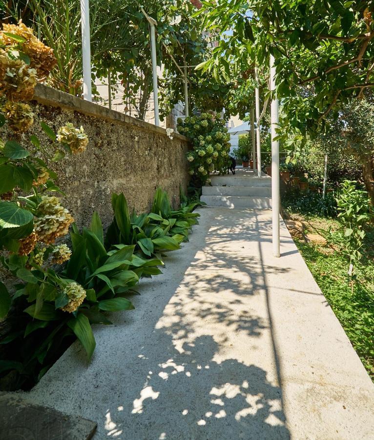 Aspidistra Shadow Leilighet Dubrovnik Eksteriør bilde